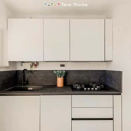 Apartment Poetry, Terre Marine *